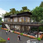 ������P���^�T�����