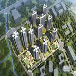 ��ï����