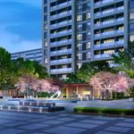 �P(y��ng)���A�����\(y��n)��