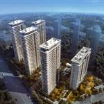 �Ͼ����މ��Ї�(gu��)��