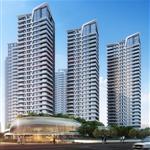 �������������Ŀ