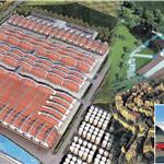 ���_(t��i)��?ji��n)����f