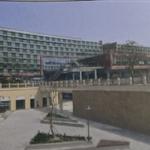 ���������ִ�W