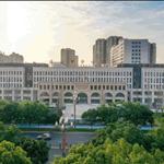 �쌎�������tԺ�����T������