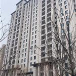 ʯ���f����