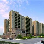 ���ނ���������