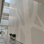 �ӱ��t�ƴ�W��һ�tԺ