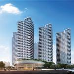 ���_����������