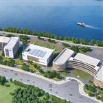 Ԫ��������